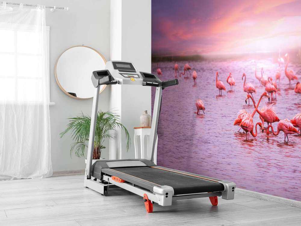 Flamingos with sunset