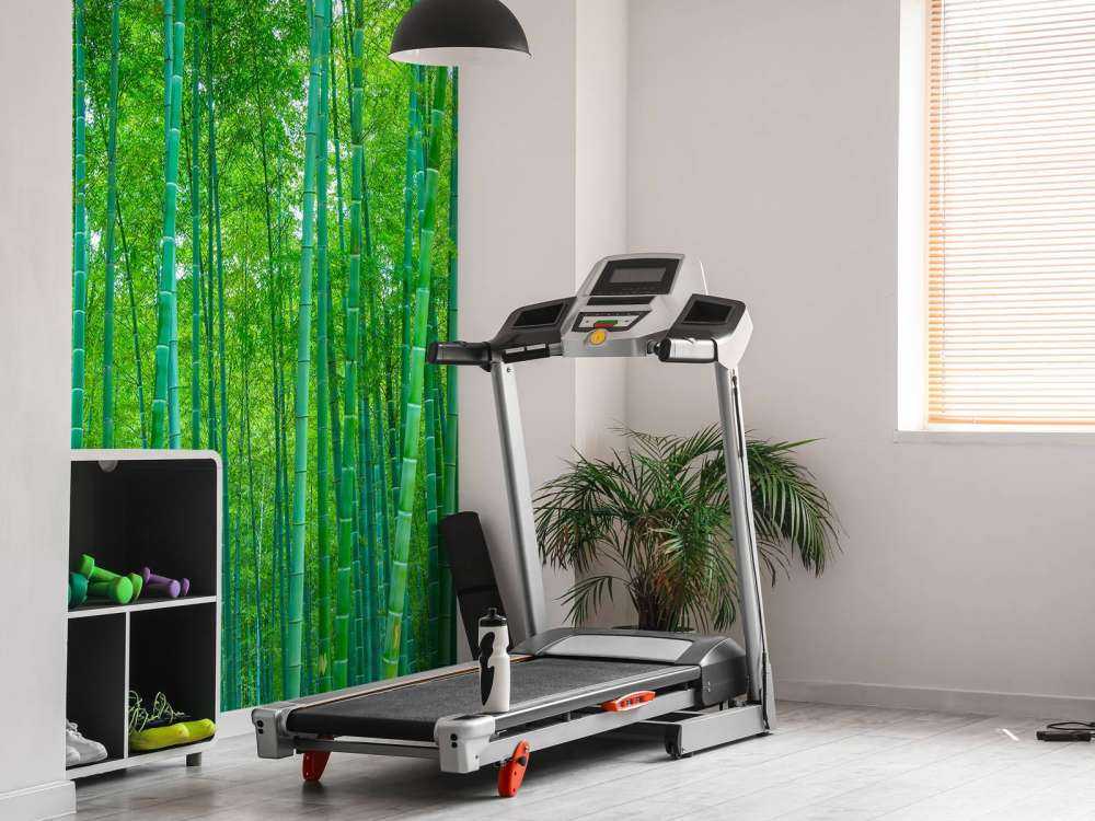 A green bamboo forest