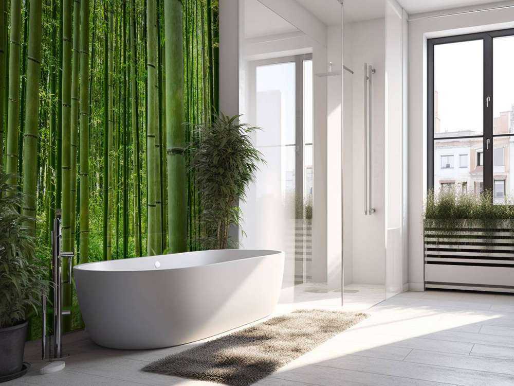 In the middle of the bamboo forest