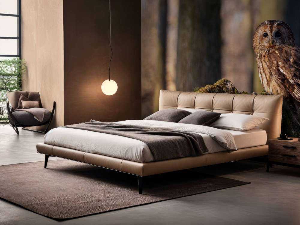 Little owl on a broken tree