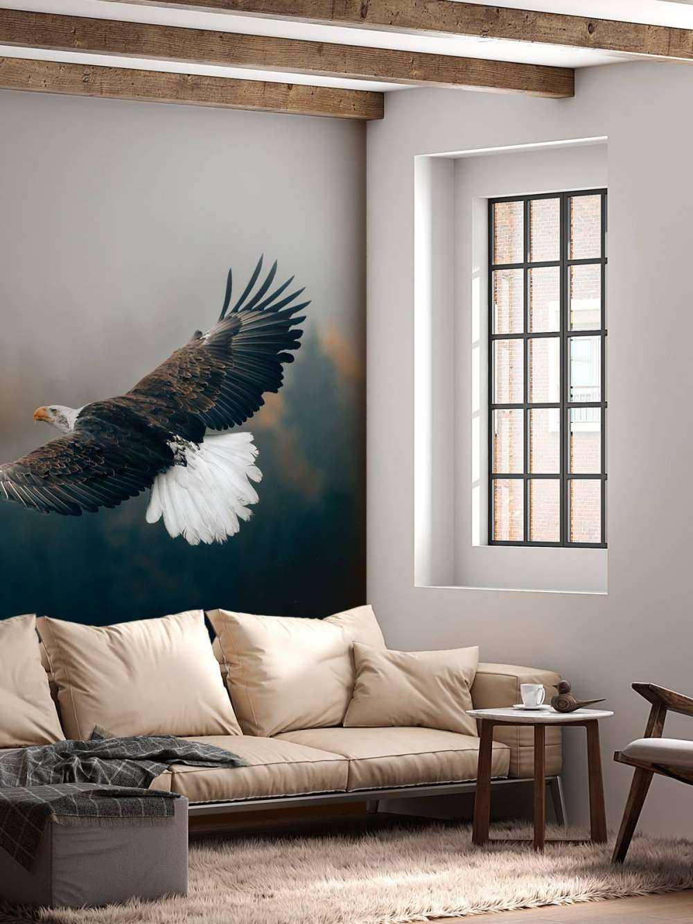 Bald eagle above the forest