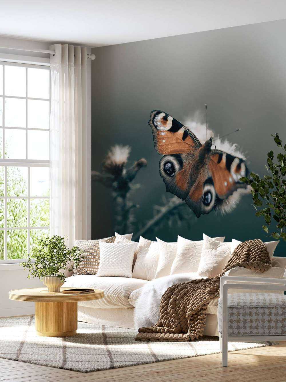 Pattern of Nature