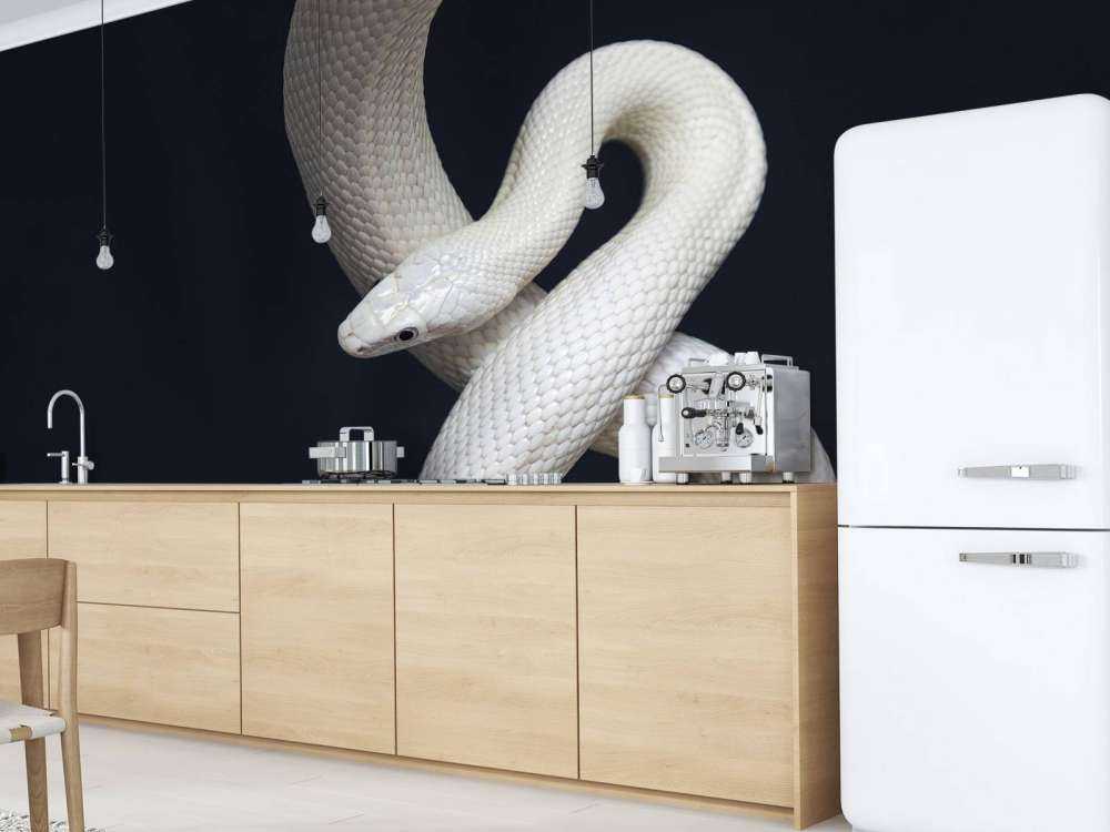 Texas ratsnake