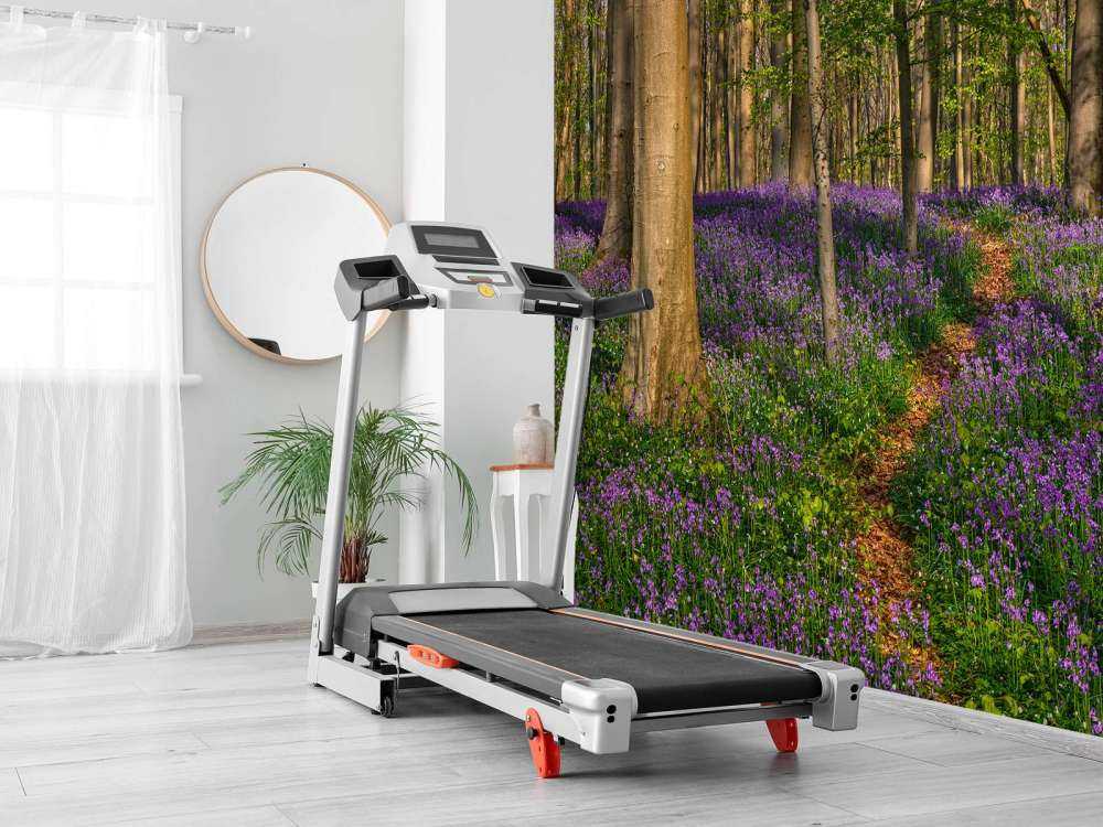 Path through a forest with hyacinths