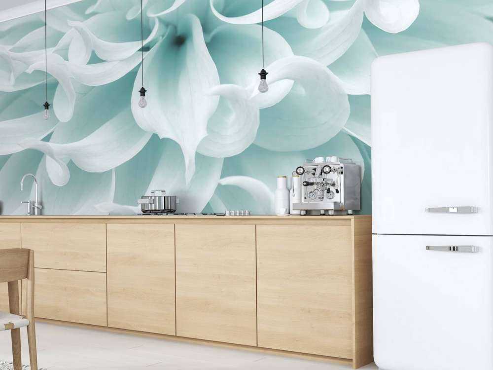 Light colored dahlia