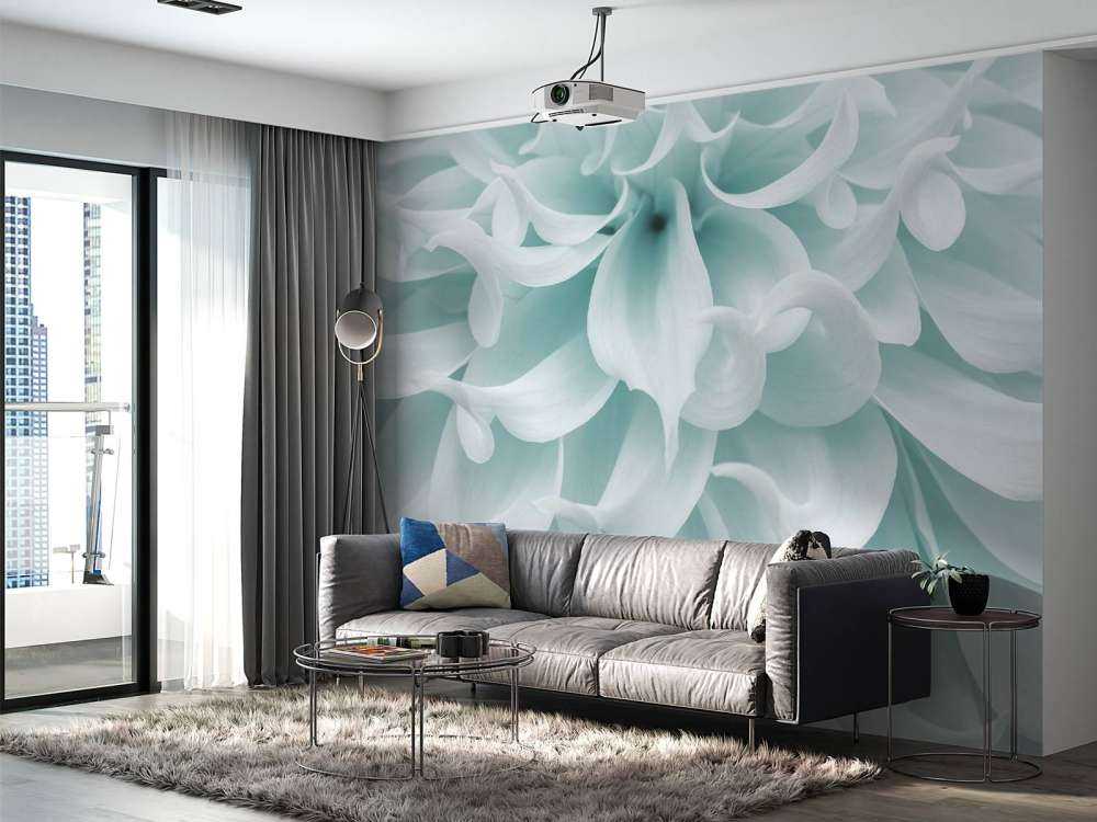 Light colored dahlia