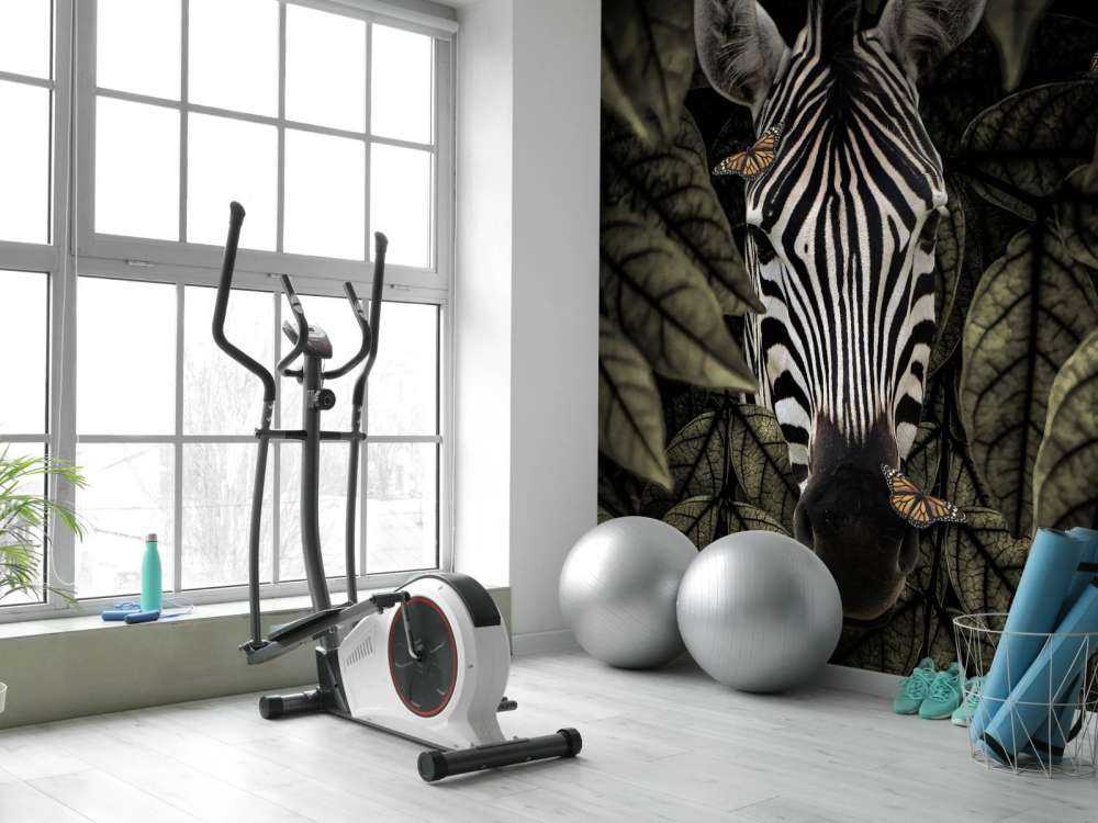 Jungle Zebra