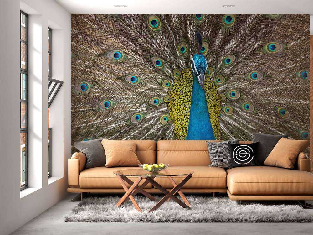 Peacock with stuffed feathers