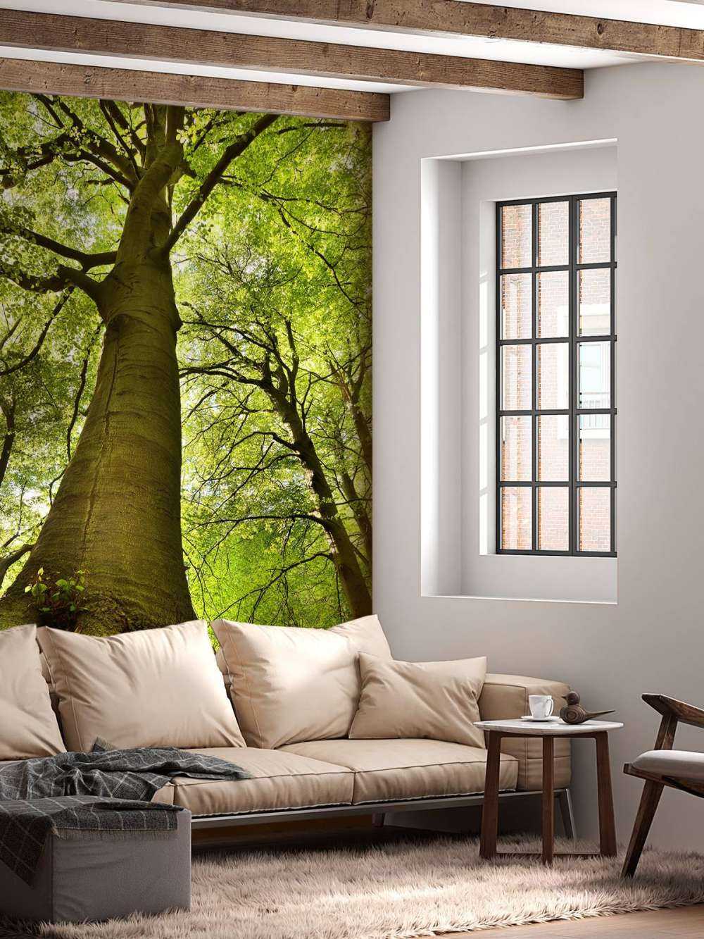 Large tree and roots