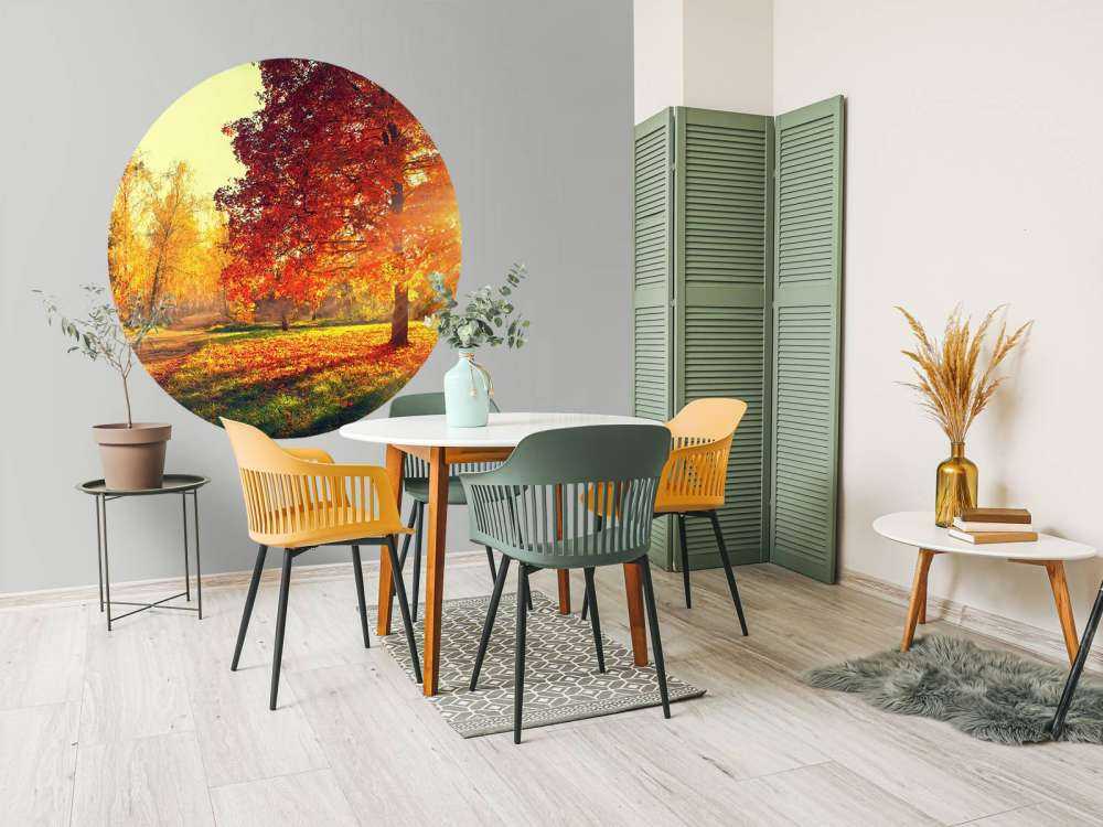 Autumn trees in sunlight