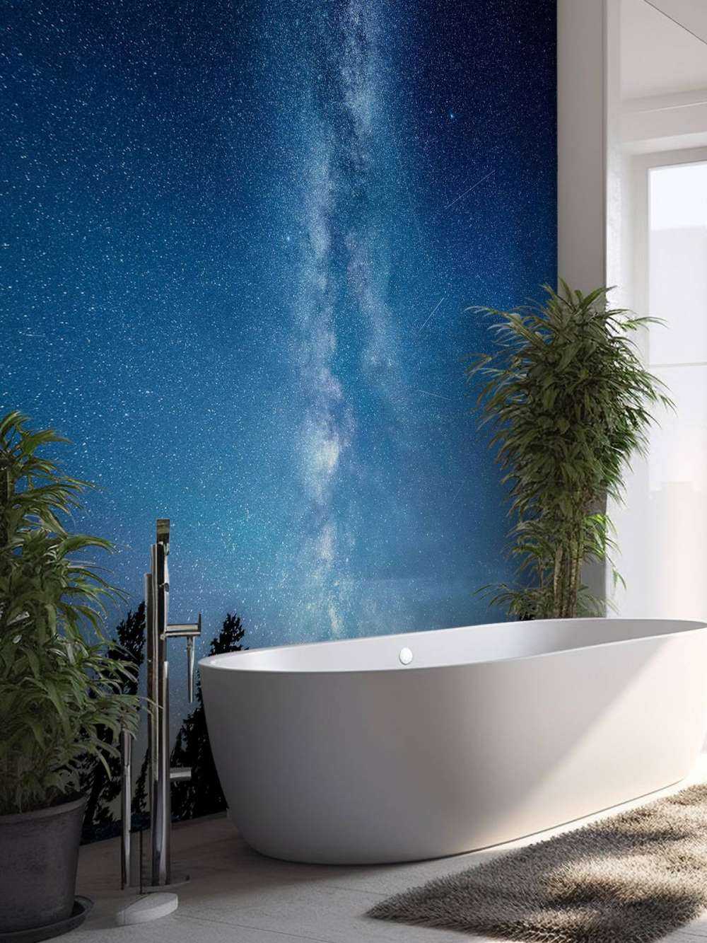 Photo of the Milky Way