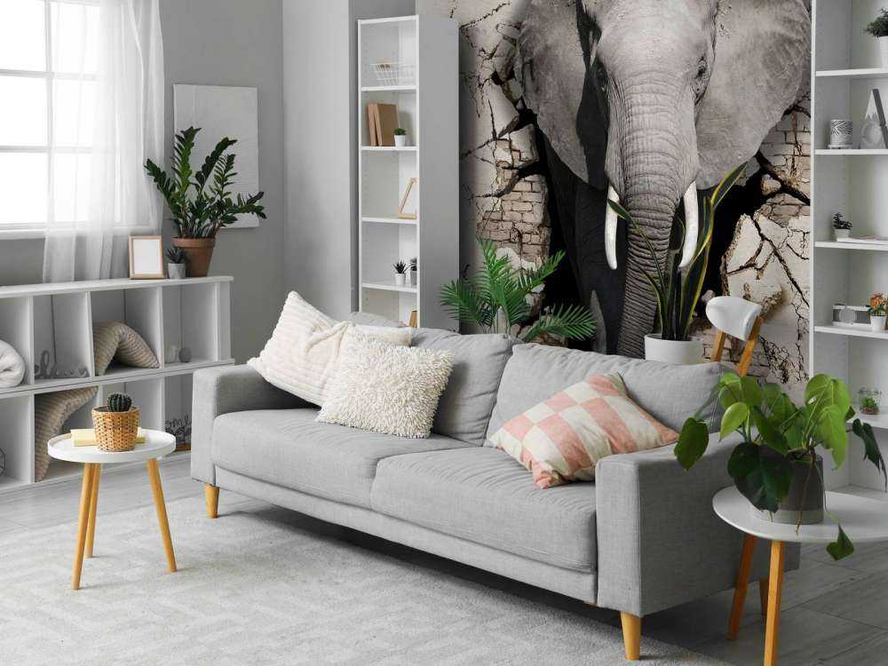 3D Elephant from the wall