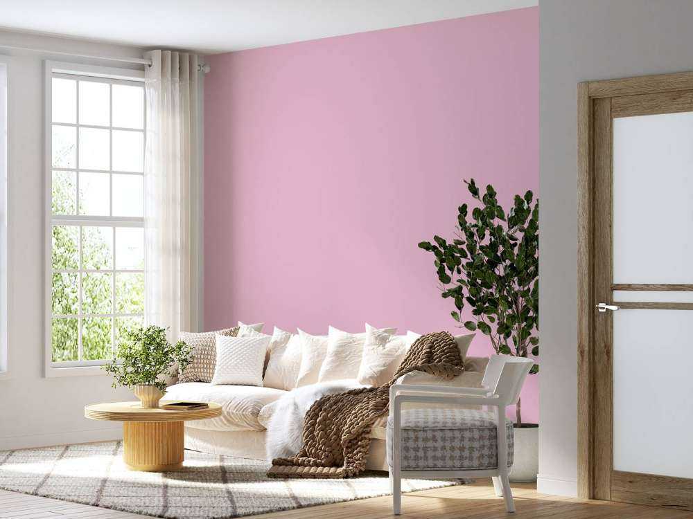 Purple pink