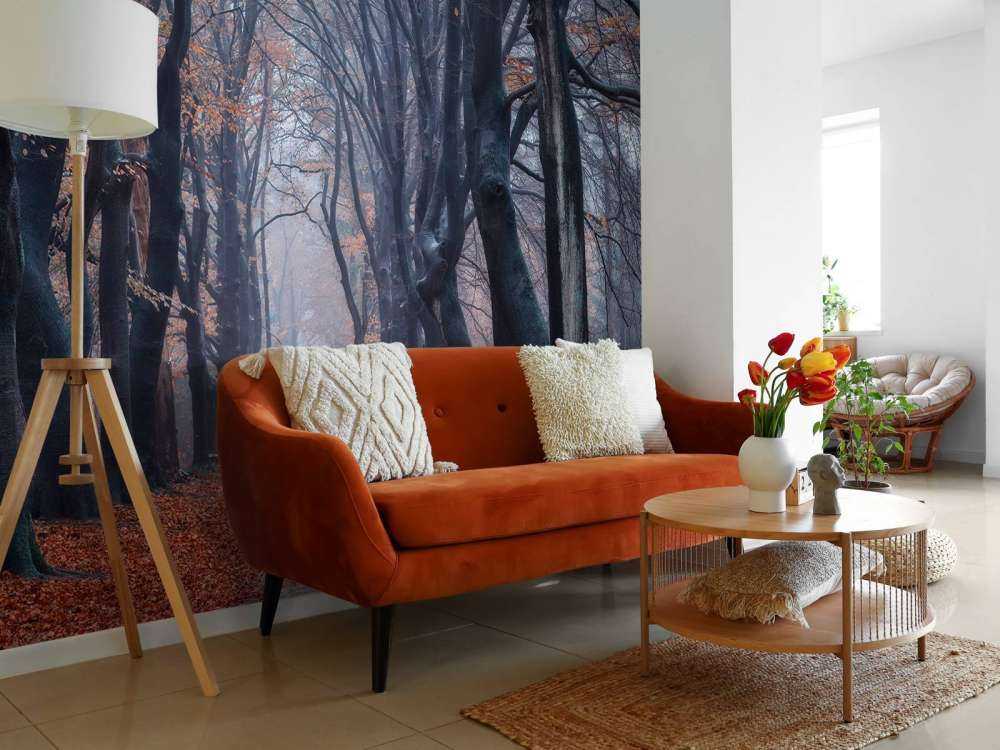 Forest path with leaves