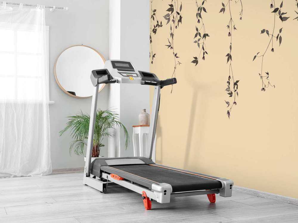 Clematis twigs on beige