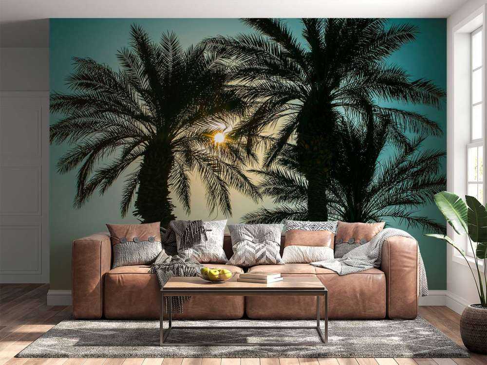 Silhouette of palm trees