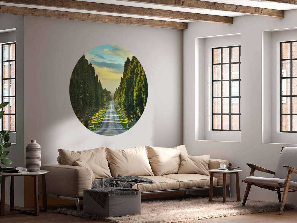 Road with tall trees