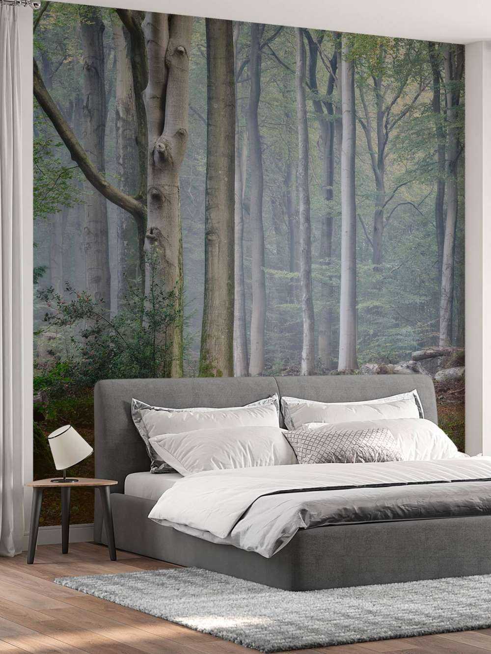 Path through the forest