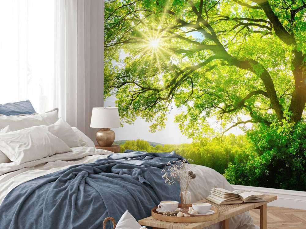 Tree with sunbeams