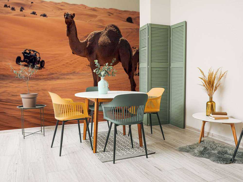 Off-road adventure in the desert