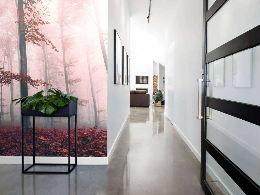 Red forest landscape