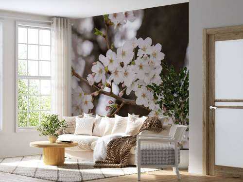 White blossoms