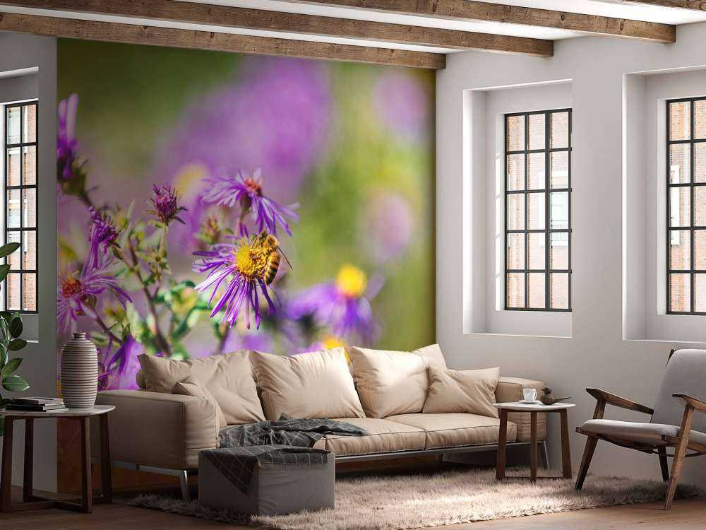 Purple flowers