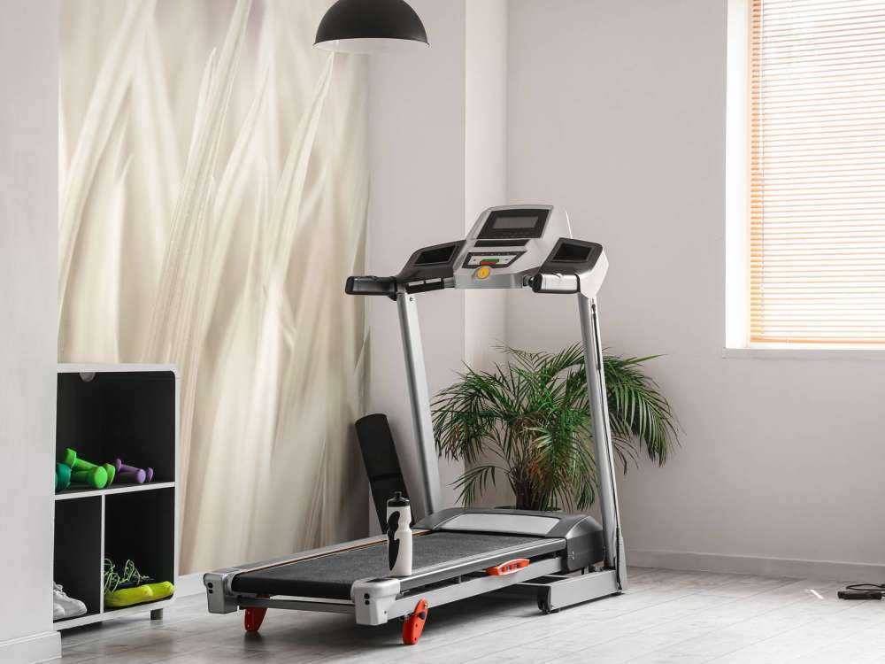 Close-up blades of grass