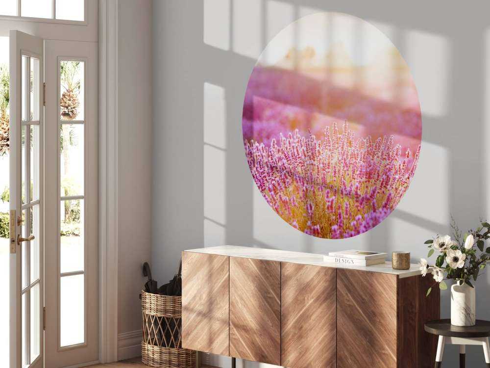 Close-up lavender flowers