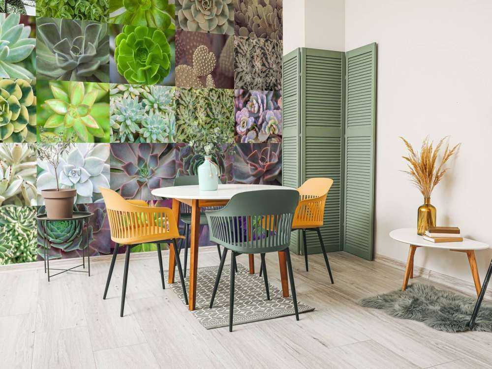 Different succulents