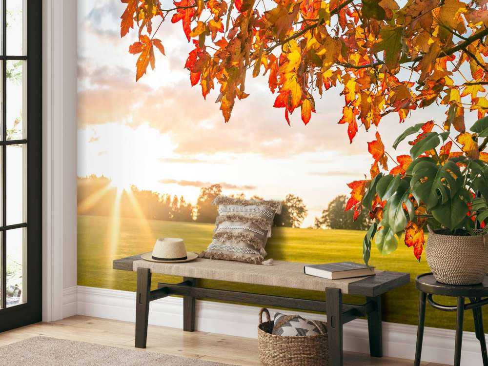 Autumn tree at sunset