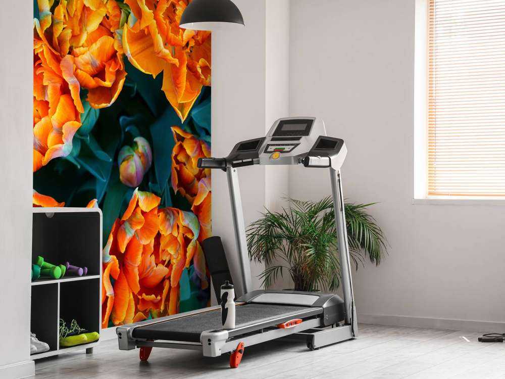 Close-up orange tulips