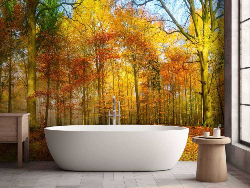 Colorful forest panorama