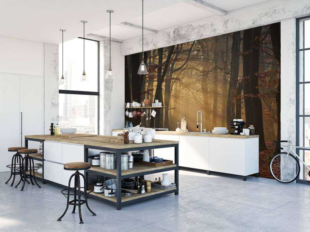 Mysterious autumn forest