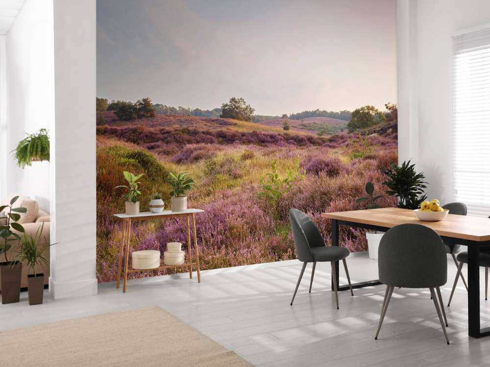 Heathland at sunrise