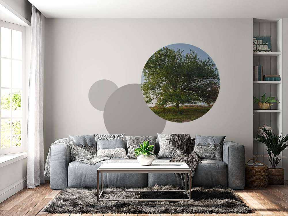 Lonely tree on the heath