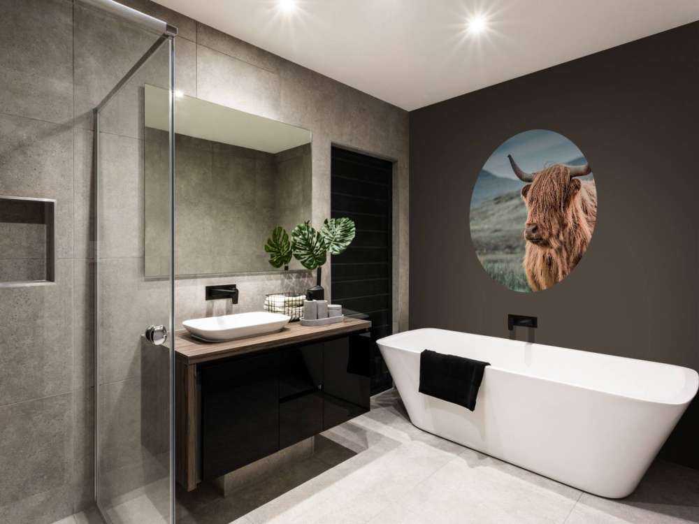 Scottish Highlander in the hills