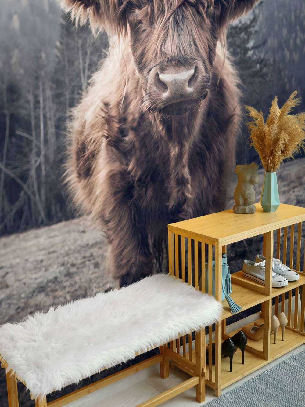 Scottish Highlander by the forest