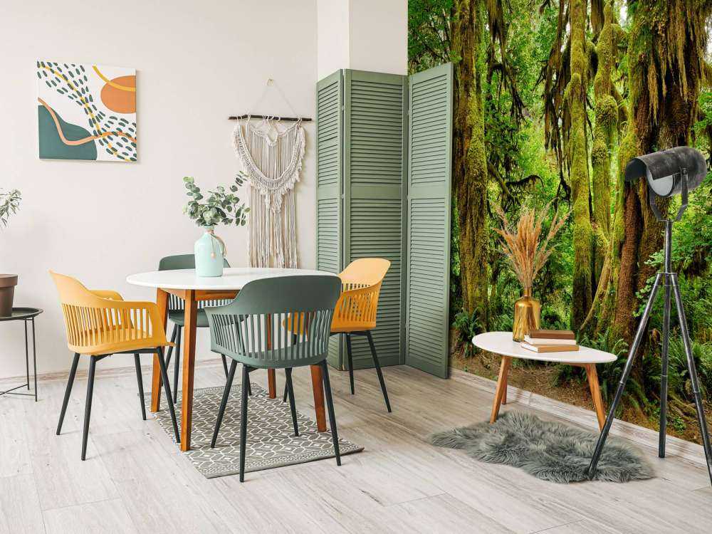 Old wilderness forest