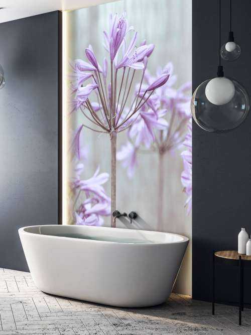 African Lilies