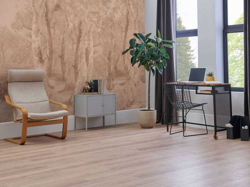 Forest Landscape Earth Panorama