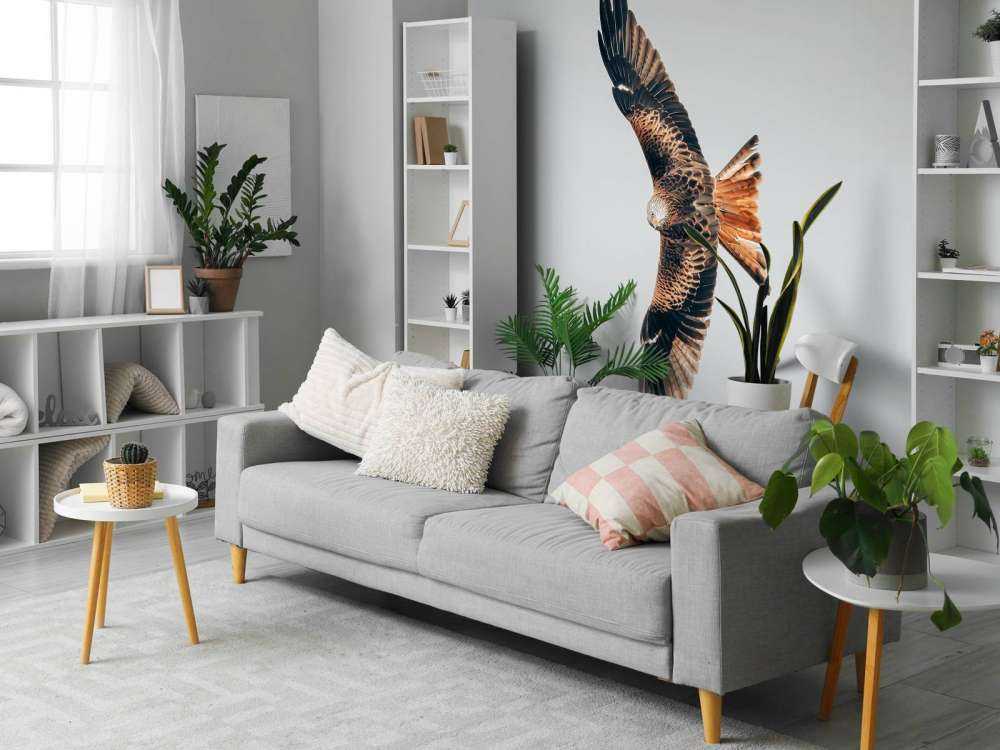 Red kite with wings spread