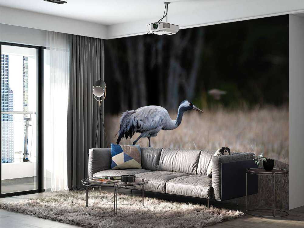 Lopende kraanvogel