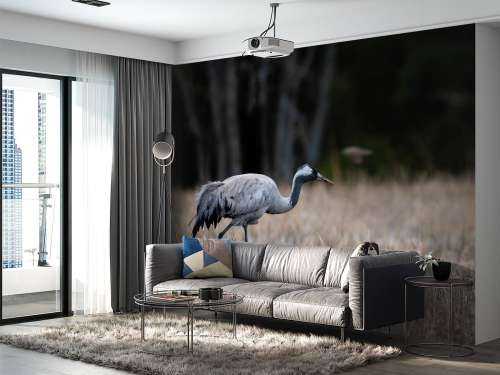 Lopende kraanvogel