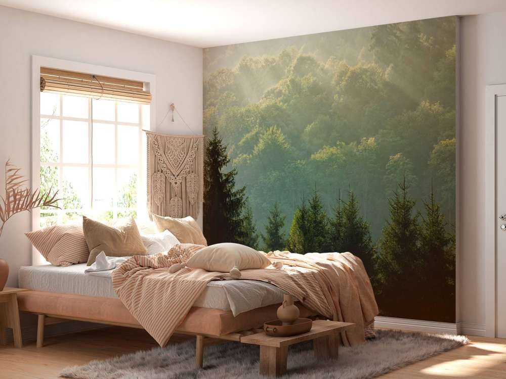 Sunbeams over the forest