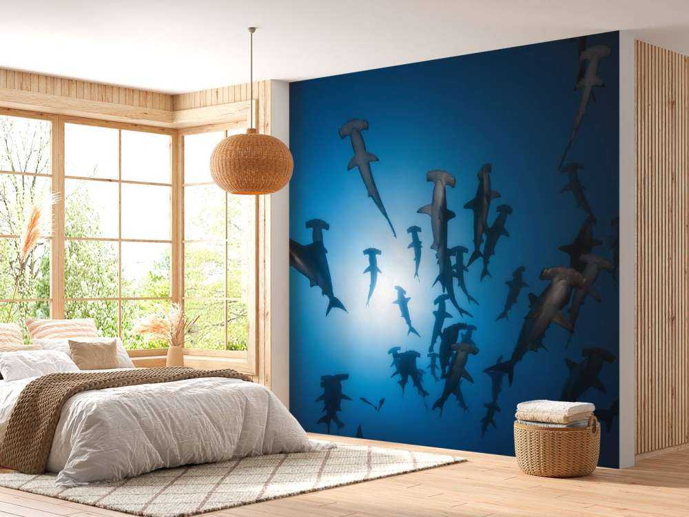 Hammerhead Shark - Underwater Photography