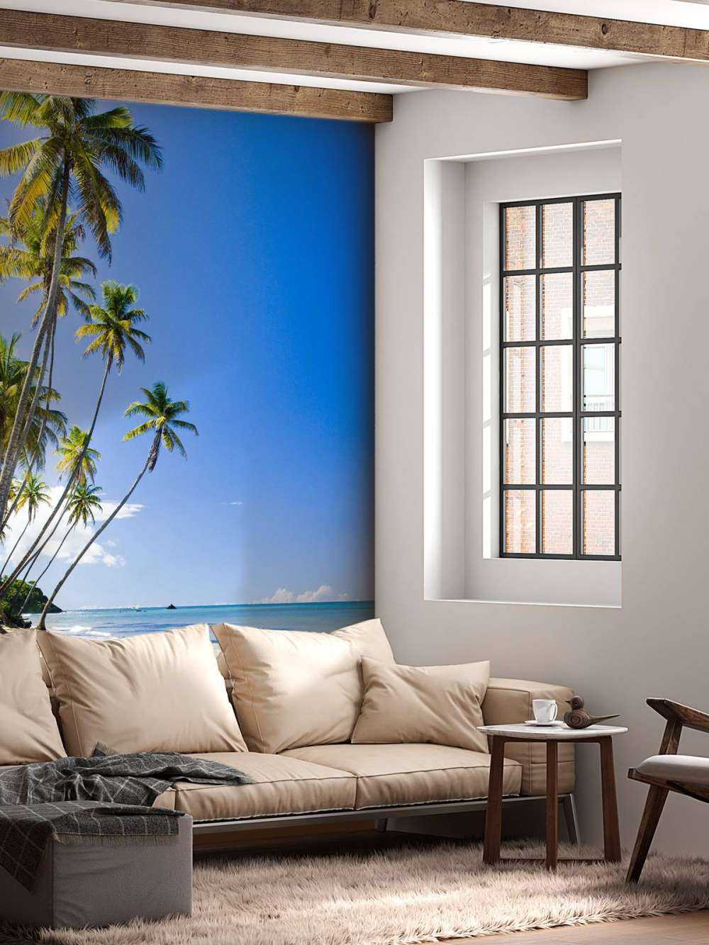 North coast of Trinidad