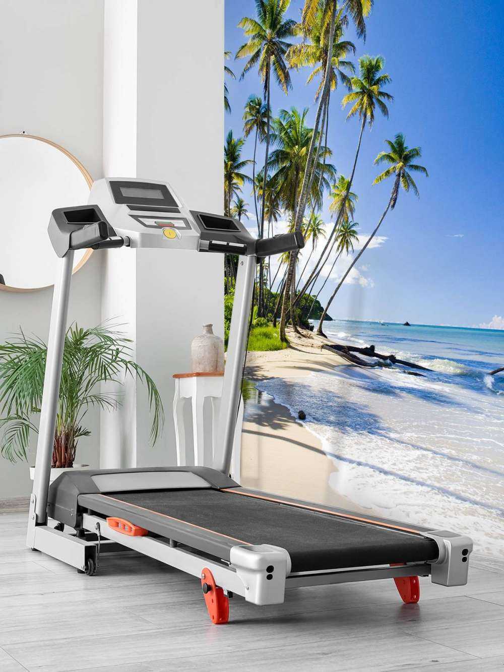 North coast of Trinidad