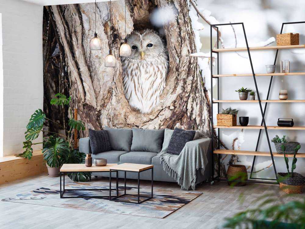 White owl in a hollow tree