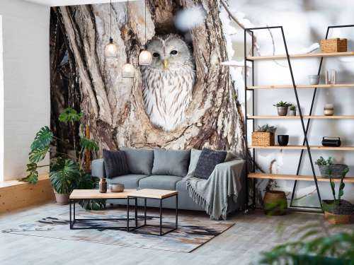 White owl in a hollow tree